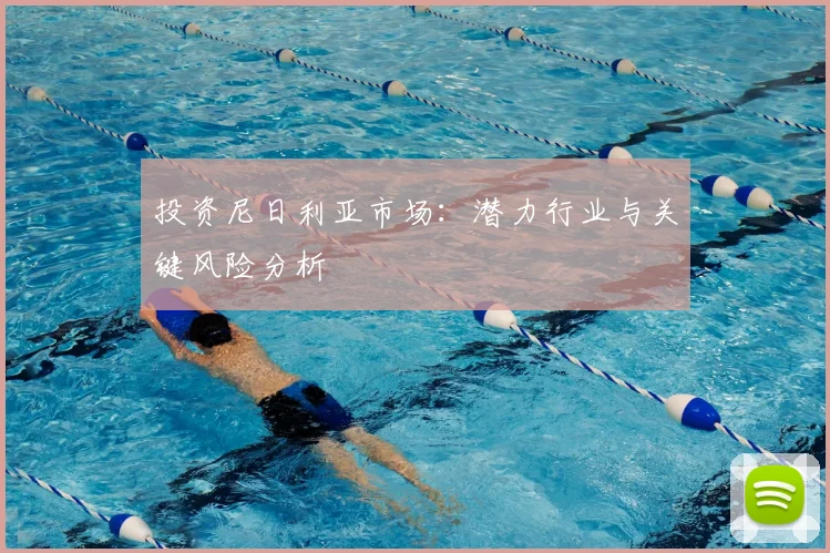 投资尼日利亚市场：潜力行业与关键风险分析